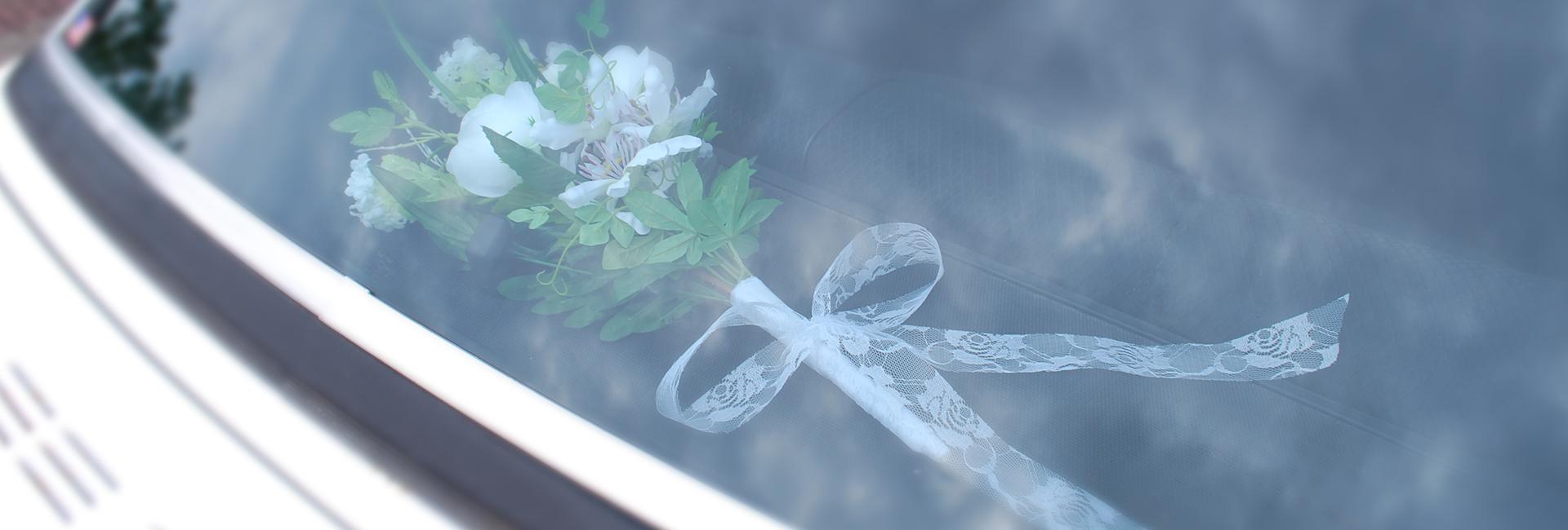 'Wij verzorgen de hele dag'